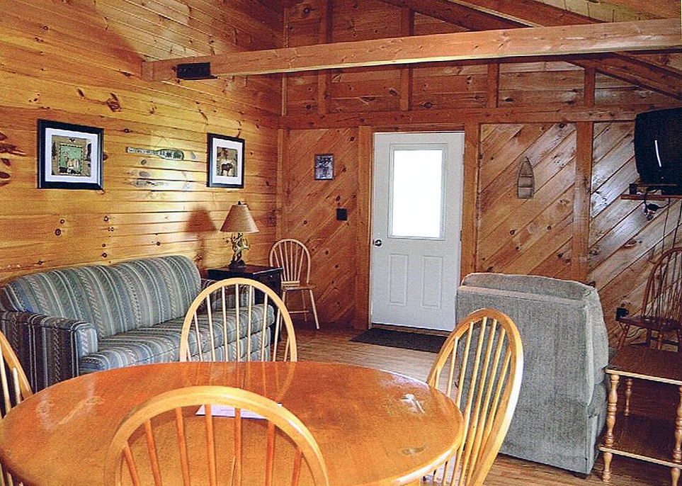 Living room and kitchen